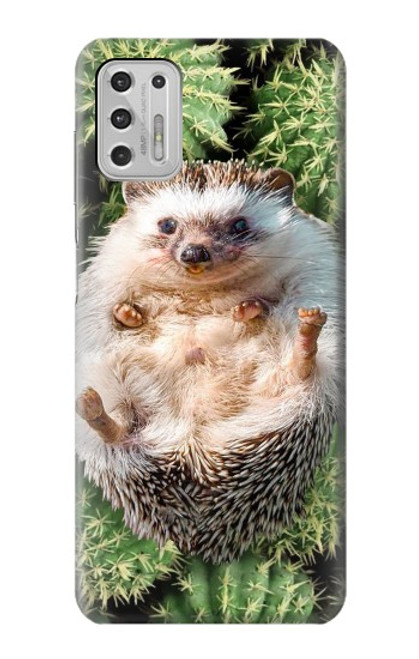 S3863 Pygmy Hedgehog Dwarf Hedgehog Paint Hülle Schutzhülle Taschen für Motorola Moto G Stylus (2021)