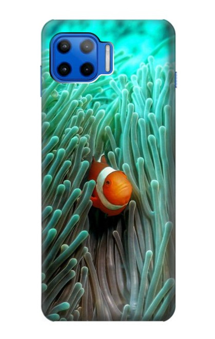 S3893 Ocellaris clownfish Hülle Schutzhülle Taschen für Motorola Moto G 5G Plus
