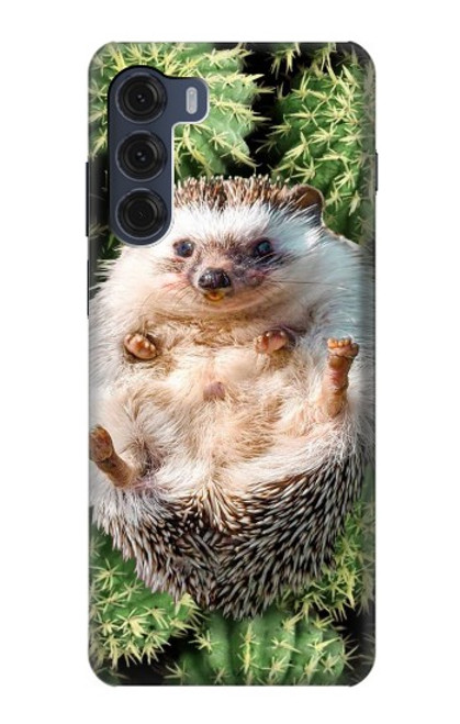 S3863 Pygmy Hedgehog Dwarf Hedgehog Paint Hülle Schutzhülle Taschen für Motorola Moto G200 5G