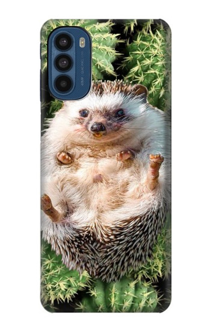 S3863 Pygmy Hedgehog Dwarf Hedgehog Paint Hülle Schutzhülle Taschen für Motorola Moto G41