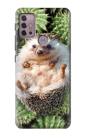 S3863 Pygmy Hedgehog Dwarf Hedgehog Paint Hülle Schutzhülle Taschen für Motorola Moto G30, G20, G10