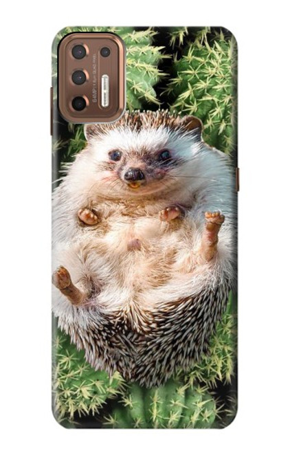 S3863 Pygmy Hedgehog Dwarf Hedgehog Paint Hülle Schutzhülle Taschen für Motorola Moto G9 Plus