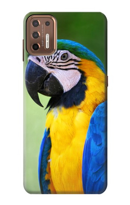 S3888 Macaw Face Bird Hülle Schutzhülle Taschen für Motorola Moto G9 Plus