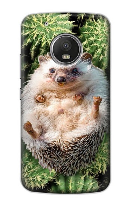 S3863 Pygmy Hedgehog Dwarf Hedgehog Paint Hülle Schutzhülle Taschen für Motorola Moto G5 Plus