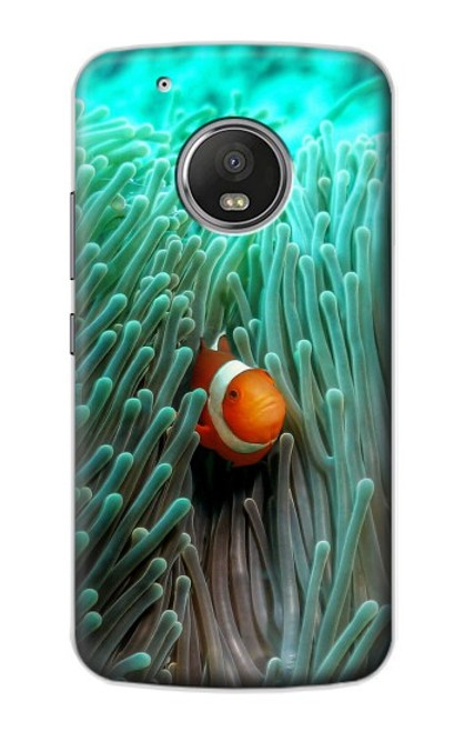 S3893 Ocellaris clownfish Hülle Schutzhülle Taschen für Motorola Moto G5 Plus