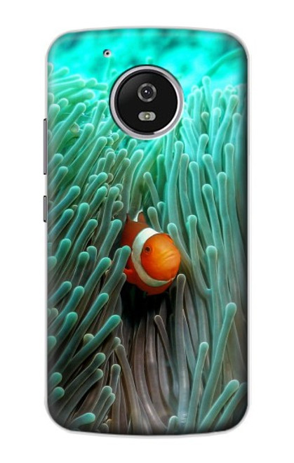 S3893 Ocellaris clownfish Hülle Schutzhülle Taschen für Motorola Moto G5