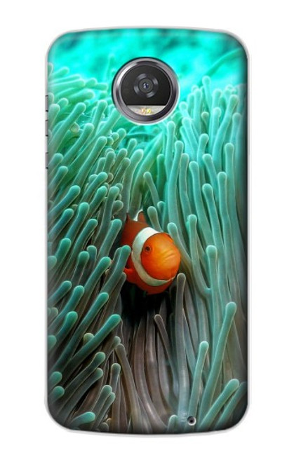 S3893 Ocellaris clownfish Hülle Schutzhülle Taschen für Motorola Moto Z2 Play, Z2 Force