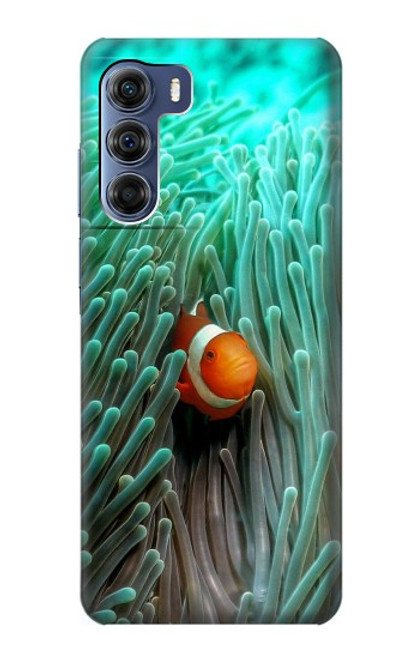 S3893 Ocellaris clownfish Hülle Schutzhülle Taschen für Motorola Edge S30