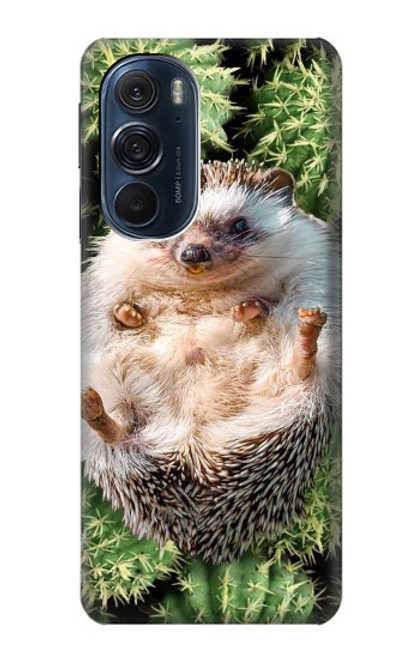 S3863 Pygmy Hedgehog Dwarf Hedgehog Paint Hülle Schutzhülle Taschen für Motorola Edge X30