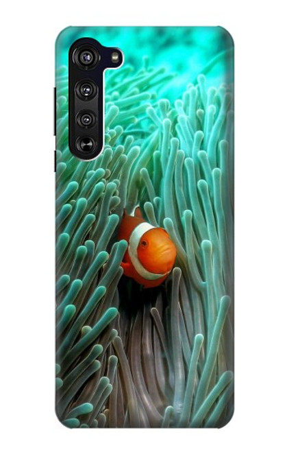 S3893 Ocellaris clownfish Hülle Schutzhülle Taschen für Motorola Edge