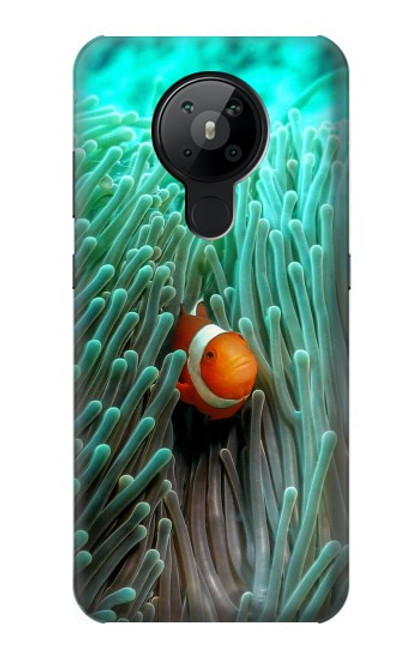 S3893 Ocellaris clownfish Hülle Schutzhülle Taschen für Nokia 5.3