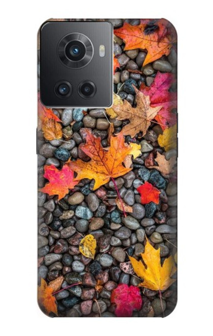 S3889 Maple Leaf Hülle Schutzhülle Taschen für OnePlus Ace