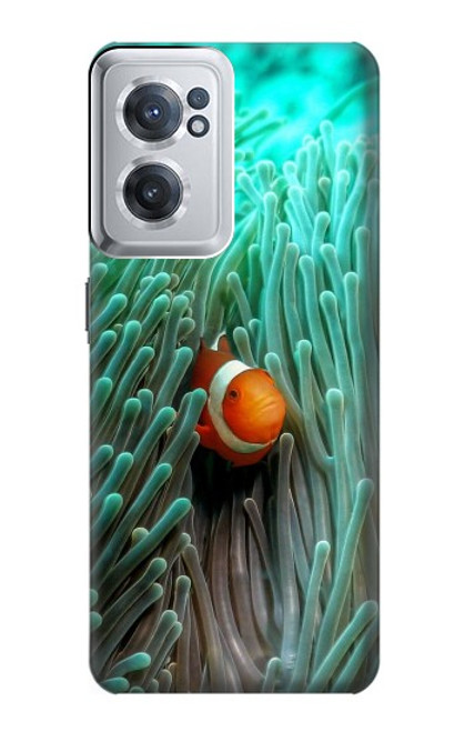 S3893 Ocellaris clownfish Hülle Schutzhülle Taschen für OnePlus Nord CE 2 5G