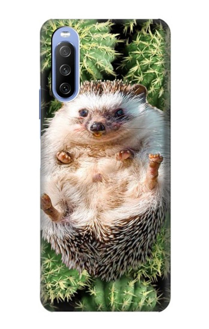 S3863 Pygmy Hedgehog Dwarf Hedgehog Paint Hülle Schutzhülle Taschen für Sony Xperia 10 III Lite
