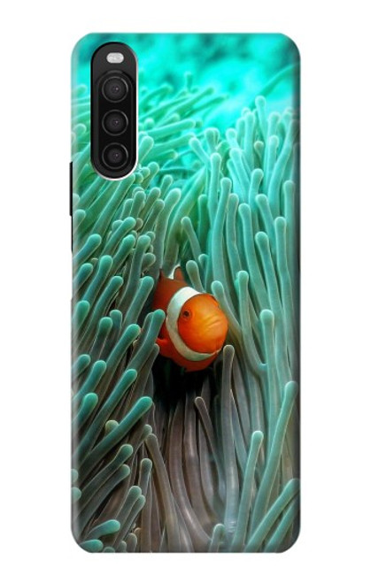 S3893 Ocellaris clownfish Hülle Schutzhülle Taschen für Sony Xperia 10 III