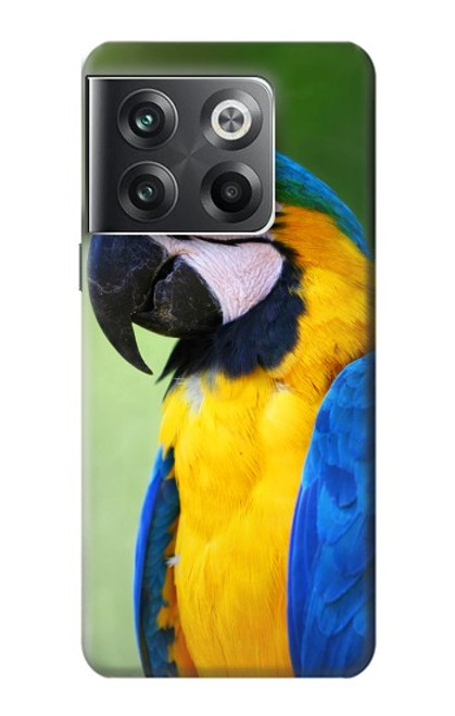 S3888 Macaw Face Bird Hülle Schutzhülle Taschen für OnePlus Ace Pro