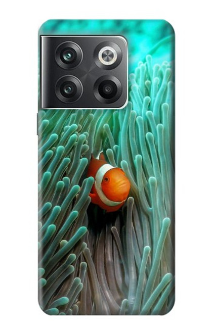 S3893 Ocellaris clownfish Hülle Schutzhülle Taschen für OnePlus Ace Pro