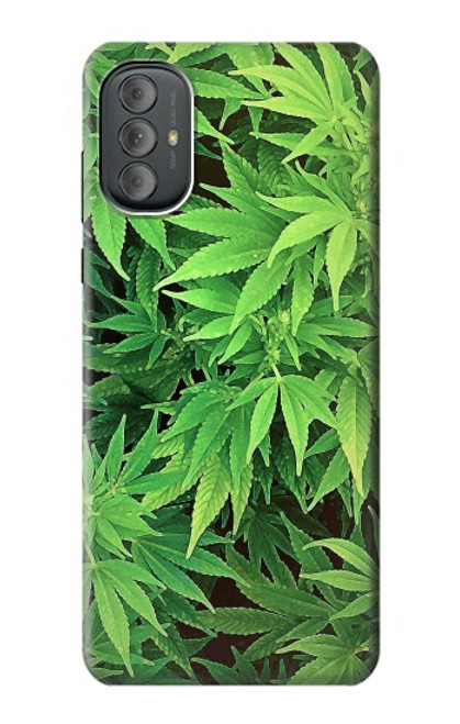 S1656 Marijuana Plant Hülle Schutzhülle Taschen für Motorola Moto G Power 2022, G Play 2023