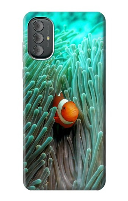 S3893 Ocellaris clownfish Hülle Schutzhülle Taschen für Motorola Moto G Power 2022, G Play 2023