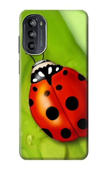 S0892 Ladybug Hülle Schutzhülle Taschen für Motorola Moto G52, G82 5G