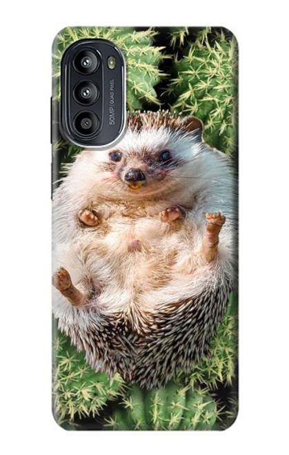 S3863 Pygmy Hedgehog Dwarf Hedgehog Paint Hülle Schutzhülle Taschen für Motorola Moto G52, G82 5G