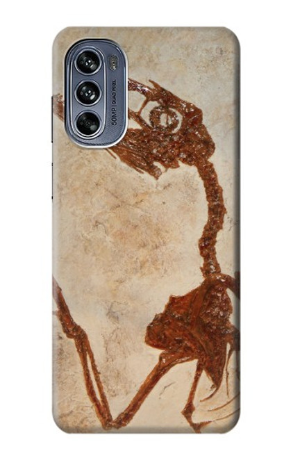 S0379 Dinosaur Fossil Hülle Schutzhülle Taschen für Motorola Moto G62 5G