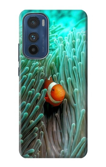 S3893 Ocellaris clownfish Hülle Schutzhülle Taschen für Motorola Edge 30