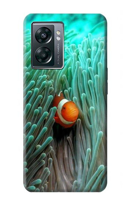 S3893 Ocellaris clownfish Hülle Schutzhülle Taschen für OnePlus Nord N300