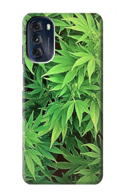 S1656 Marijuana Plant Hülle Schutzhülle Taschen für Motorola Moto G 5G (2023)