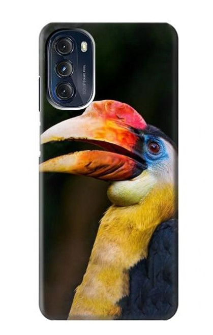 S3876 Colorful Hornbill Hülle Schutzhülle Taschen für Motorola Moto G 5G (2023)