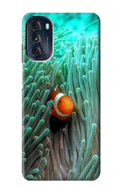 S3893 Ocellaris clownfish Hülle Schutzhülle Taschen für Motorola Moto G 5G (2023)