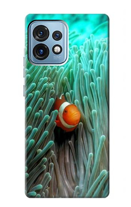 S3893 Ocellaris clownfish Hülle Schutzhülle Taschen für Motorola Edge+ (2023), X40, X40 Pro, Edge 40 Pro