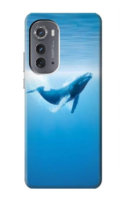 S0843 Blue Whale Hülle Schutzhülle Taschen für Motorola Edge (2022)