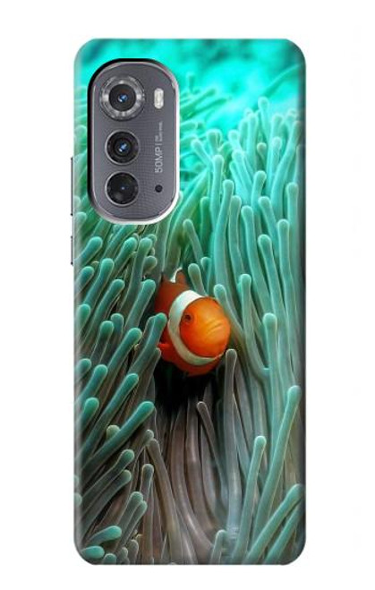 S3893 Ocellaris clownfish Hülle Schutzhülle Taschen für Motorola Edge (2022)