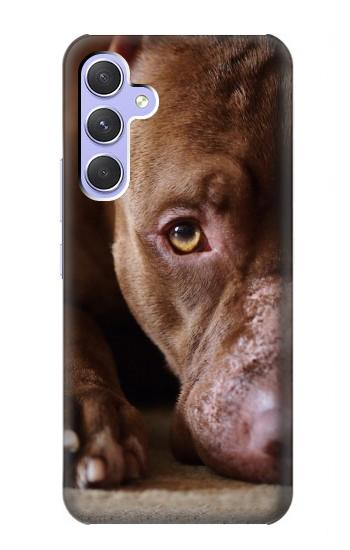 S0519 PitBull Face Hülle Schutzhülle Taschen für Samsung Galaxy A54 5G