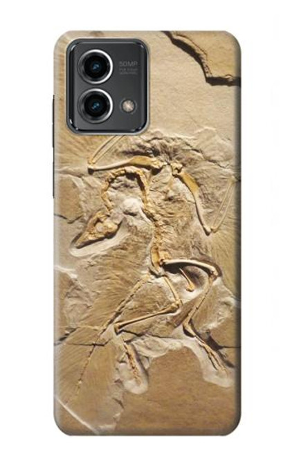 S0380 Dinosaur Fossil Hülle Schutzhülle Taschen für Motorola Moto G Stylus 5G (2023)