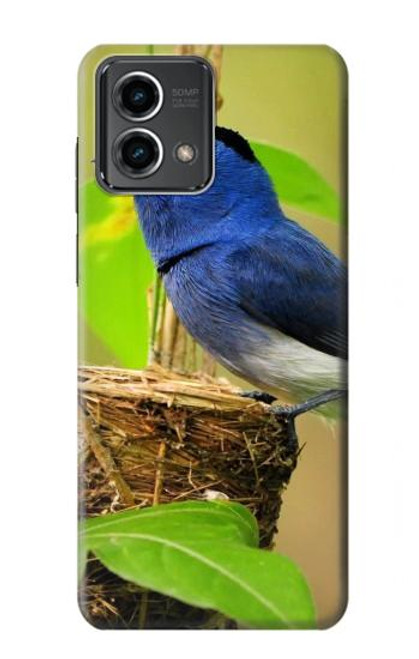 S3839 Bluebird of Happiness Blue Bird Hülle Schutzhülle Taschen für Motorola Moto G Stylus 5G (2023)