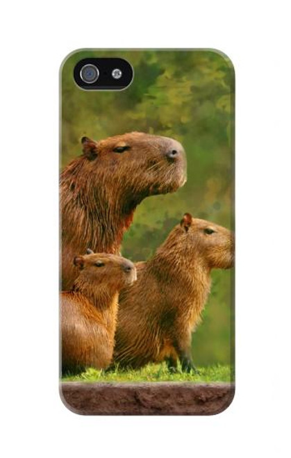 S3917 Capybara Family Giant Guinea Pig Hülle Schutzhülle Taschen für iPhone 5 5S SE