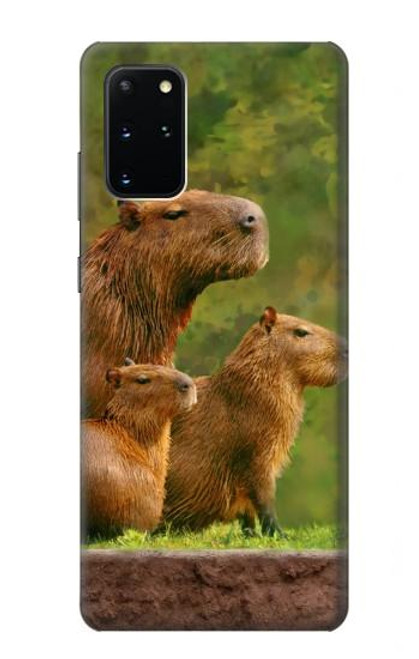 S3917 Capybara Family Giant Guinea Pig Hülle Schutzhülle Taschen für Samsung Galaxy S20 Plus, Galaxy S20+