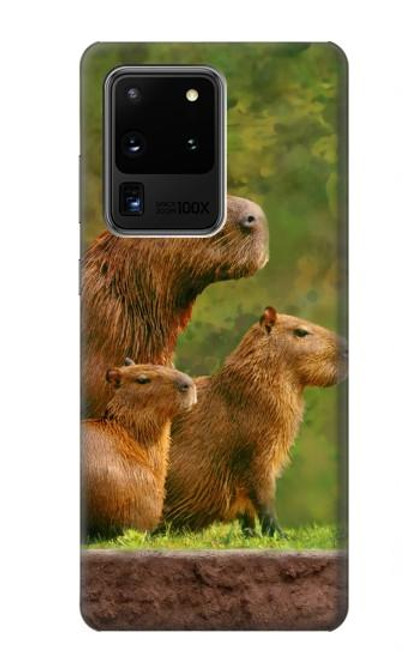 S3917 Capybara Family Giant Guinea Pig Hülle Schutzhülle Taschen für Samsung Galaxy S20 Ultra