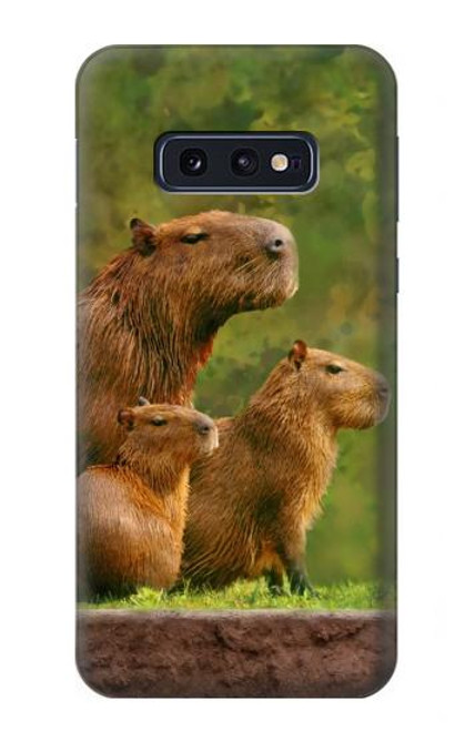 S3917 Capybara Family Giant Guinea Pig Hülle Schutzhülle Taschen für Samsung Galaxy S10e