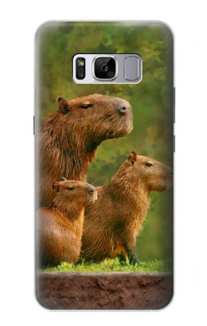 S3917 Capybara Family Giant Guinea Pig Hülle Schutzhülle Taschen für Samsung Galaxy S8 Plus