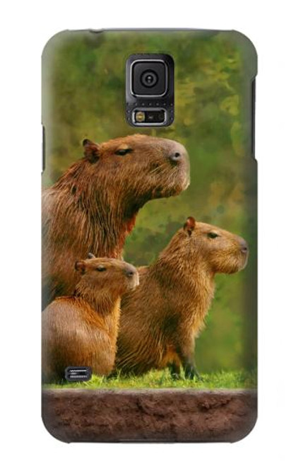S3917 Capybara Family Giant Guinea Pig Hülle Schutzhülle Taschen für Samsung Galaxy S5