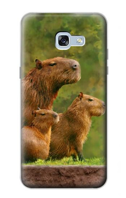 S3917 Capybara Family Giant Guinea Pig Hülle Schutzhülle Taschen für Samsung Galaxy A5 (2017)