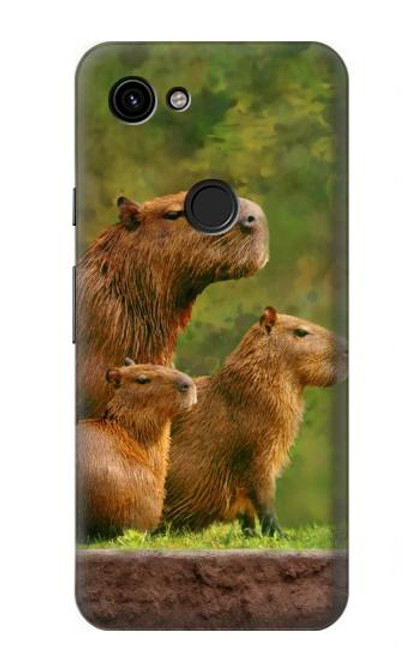 S3917 Capybara Family Giant Guinea Pig Hülle Schutzhülle Taschen für Google Pixel 3a