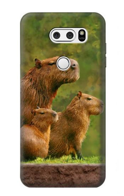S3917 Capybara Family Giant Guinea Pig Hülle Schutzhülle Taschen für LG V30, LG V30 Plus, LG V30S ThinQ, LG V35, LG V35 ThinQ