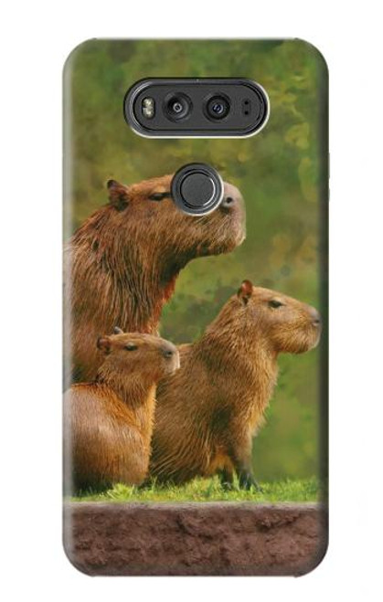 S3917 Capybara Family Giant Guinea Pig Hülle Schutzhülle Taschen für LG V20