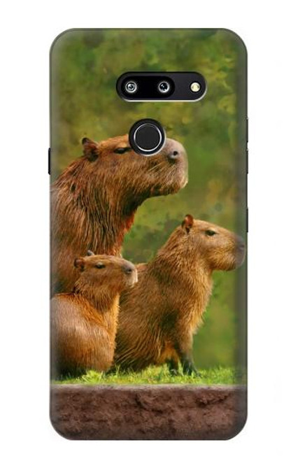 S3917 Capybara Family Giant Guinea Pig Hülle Schutzhülle Taschen für LG G8 ThinQ