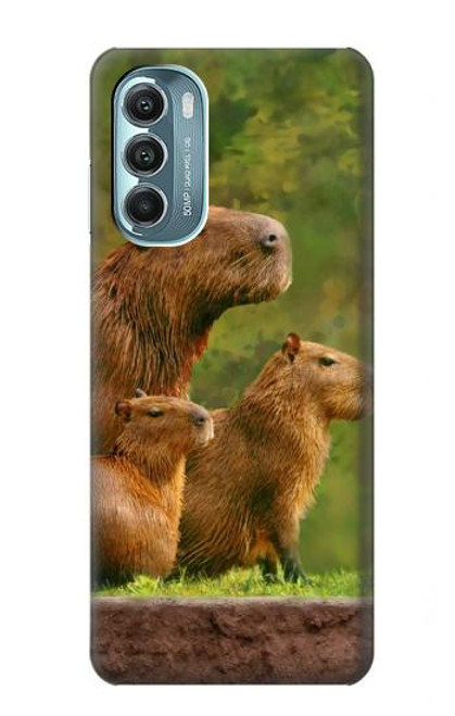 S3917 Capybara Family Giant Guinea Pig Hülle Schutzhülle Taschen für Motorola Moto G Stylus 5G (2022)