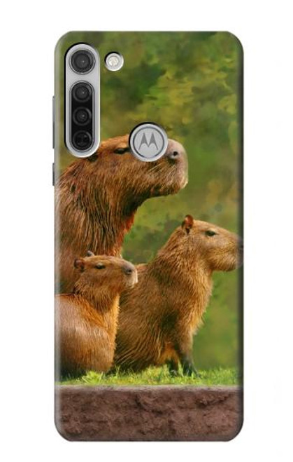 S3917 Capybara Family Giant Guinea Pig Hülle Schutzhülle Taschen für Motorola Moto G8